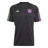 Maillot entraînement Bayern Munich noir violet 2023/24