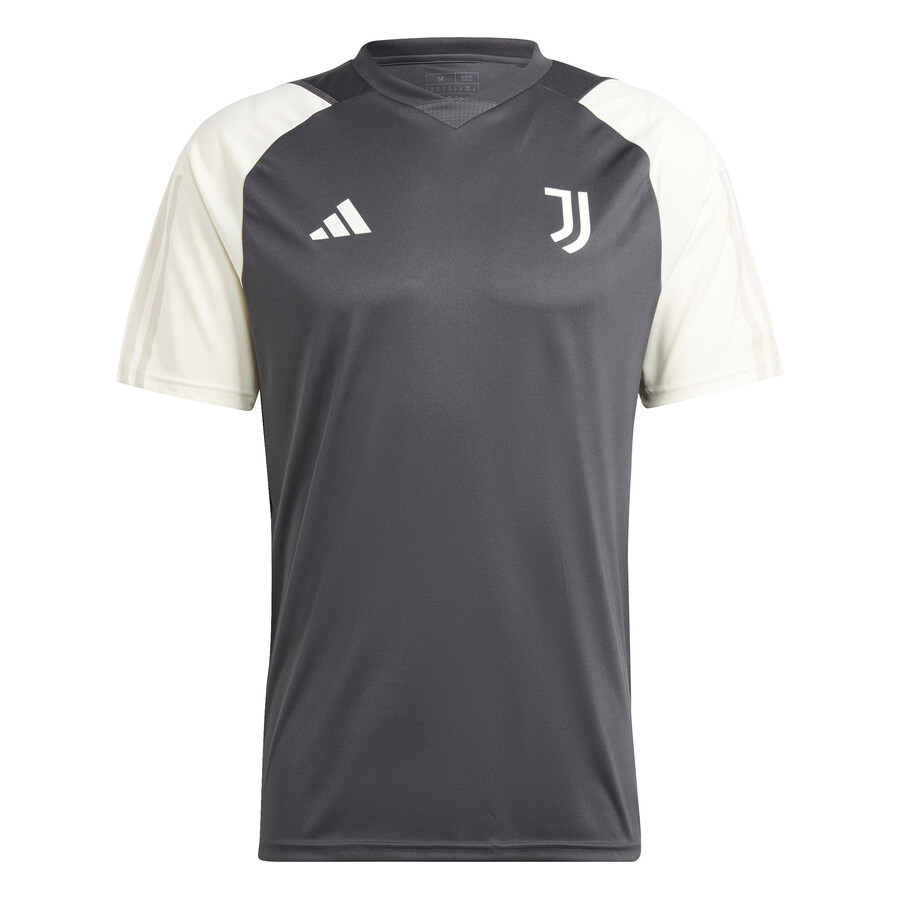 Maillot entraînement Juventus gris blanc 2023/24