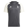 Maillot entraînement Juventus gris blanc 2023/24