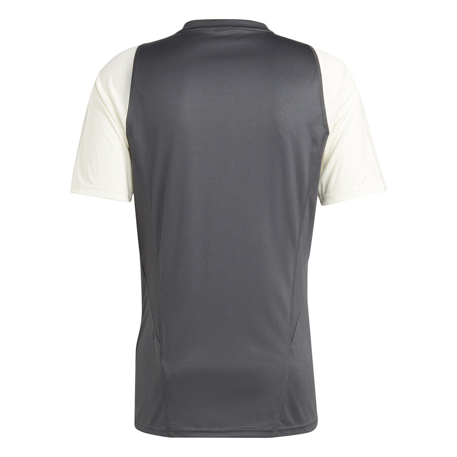 Maillot entraînement Juventus gris blanc 2023/24