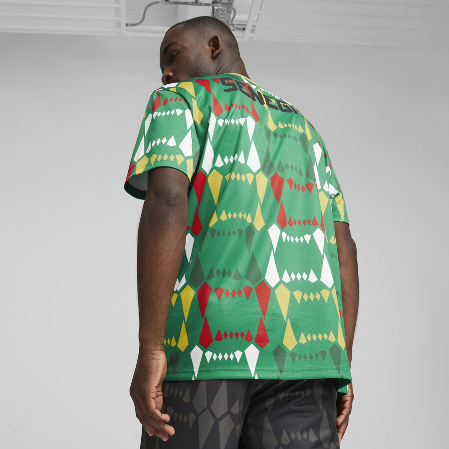 T-shirt Sénégal Football Culture vert 2023/24