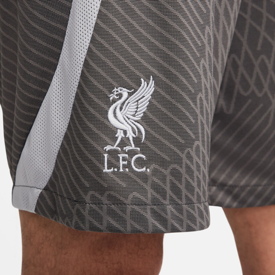 Short entraînement Liverpool Strike gris foncé 2023/24