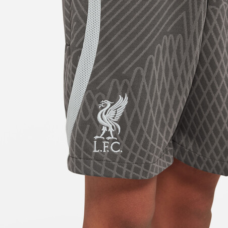 Short entraînement junior Liverpool Strike gris foncé 2023/24