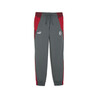 Pantalon survêtement Milan AC Woven gris rouge 2023/24