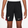 Short entraînement junior Liverpool Strike noir rouge 2024/25