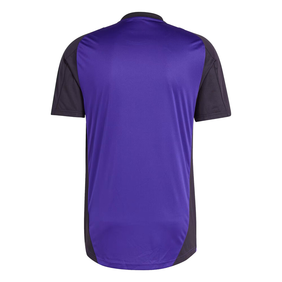 Maillot entraînement Allemagne violet noir 2024