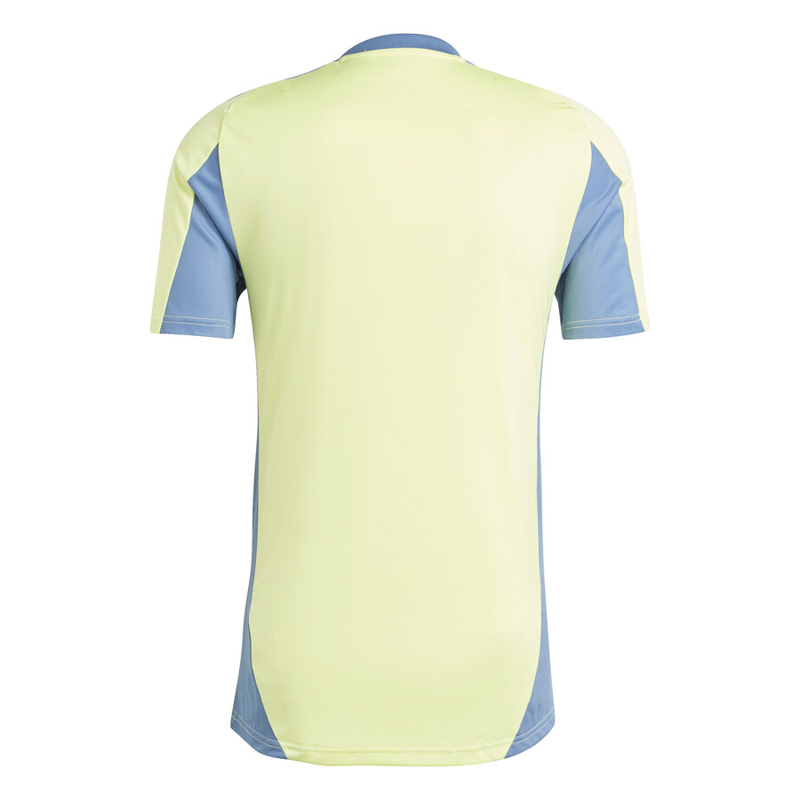 Maillot entraînement Ajax Amsterdam jaune bleu 2024/25