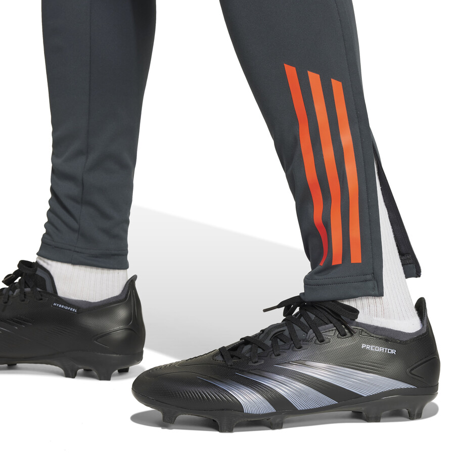 Pantalon survêtement Benfica gris 2024/25