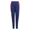 Pantalon survêtement junior OL bleu rouge 2024/25