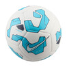 Ballon Nike Pitch blanc bleu