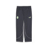 Pantalon Milan AC Statement gris vert 2024/25