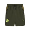 Short Dortmund Tech vert 2024/25